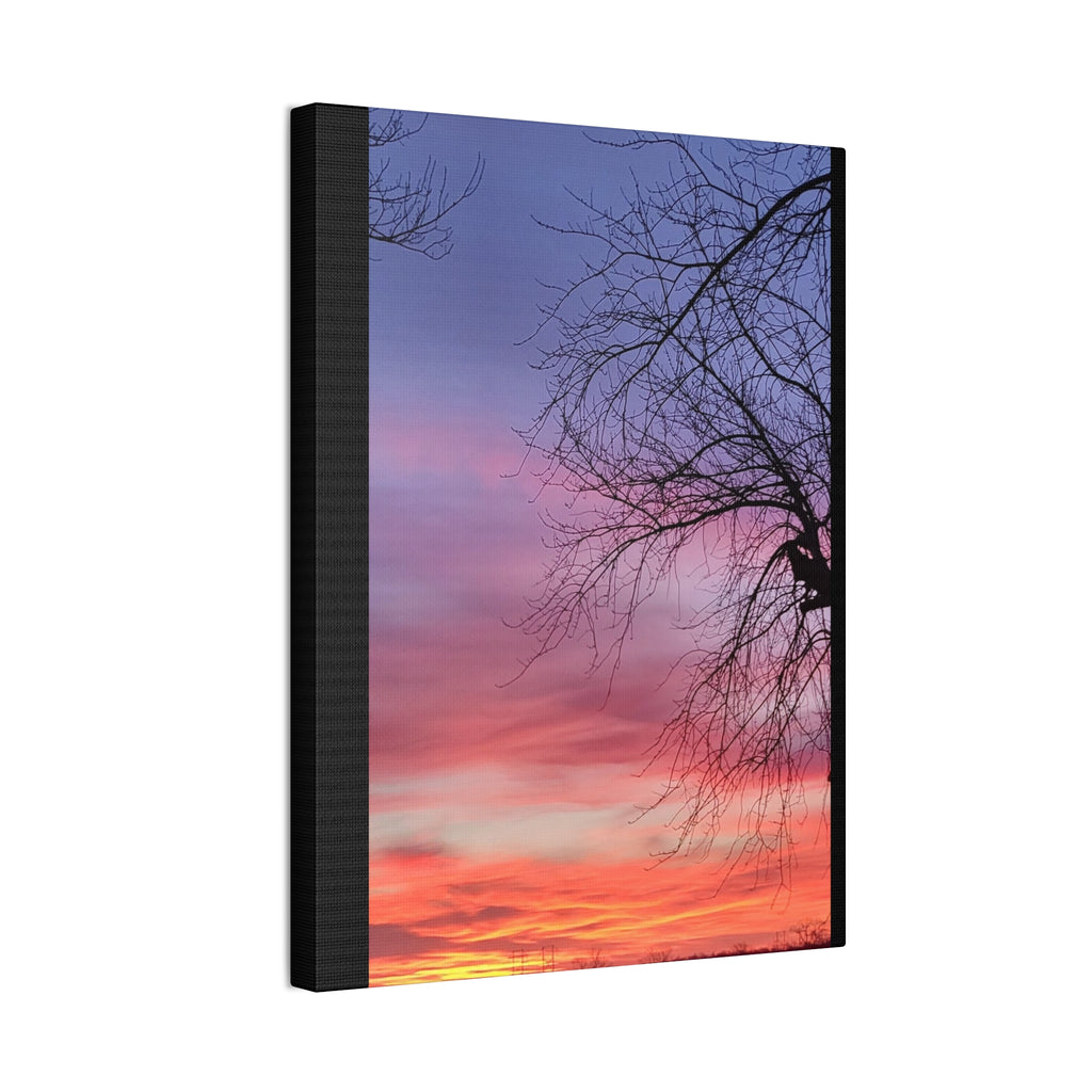 Sunset Sky with Silhouette Tree Canvas