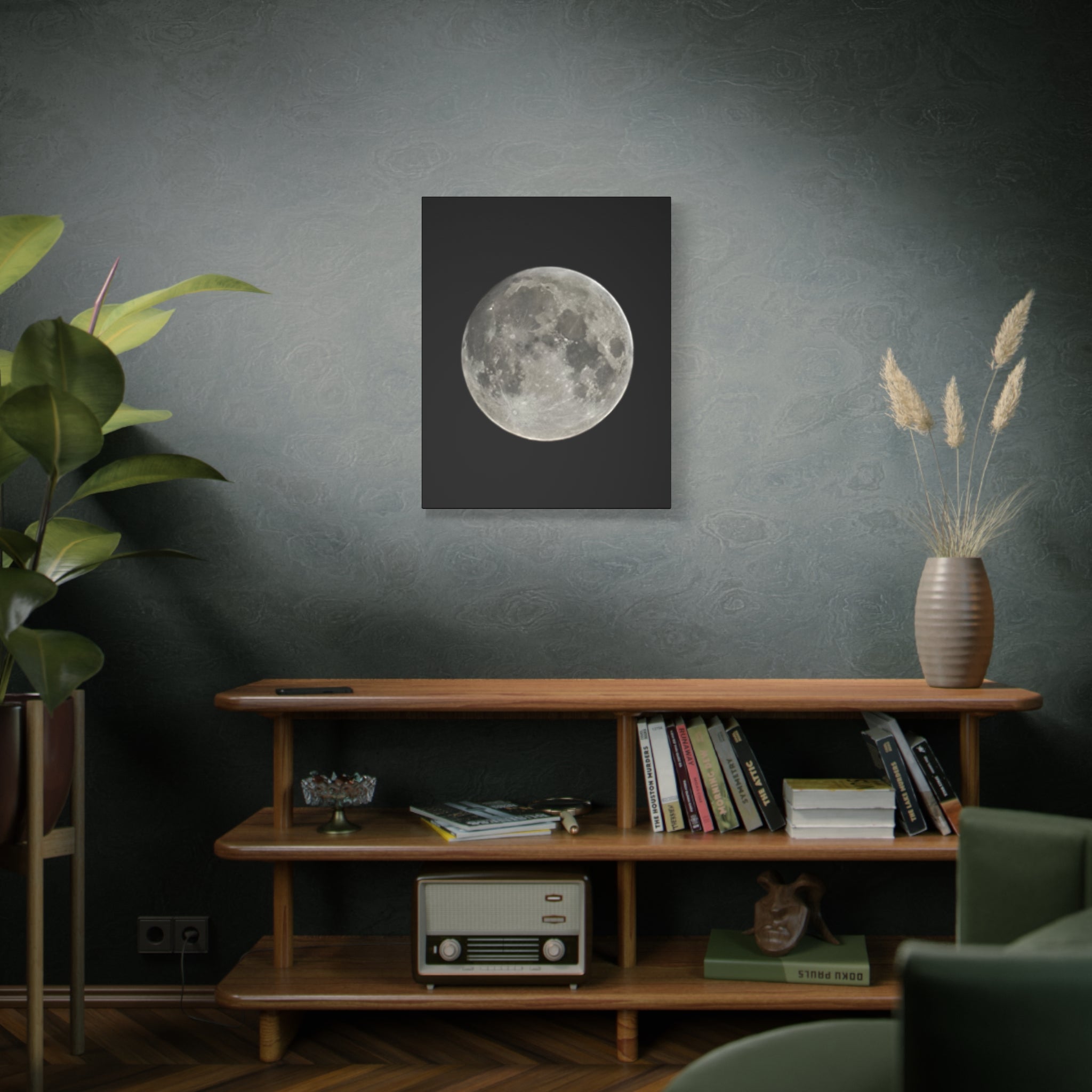 Full Moon Matte Stretched Canvas