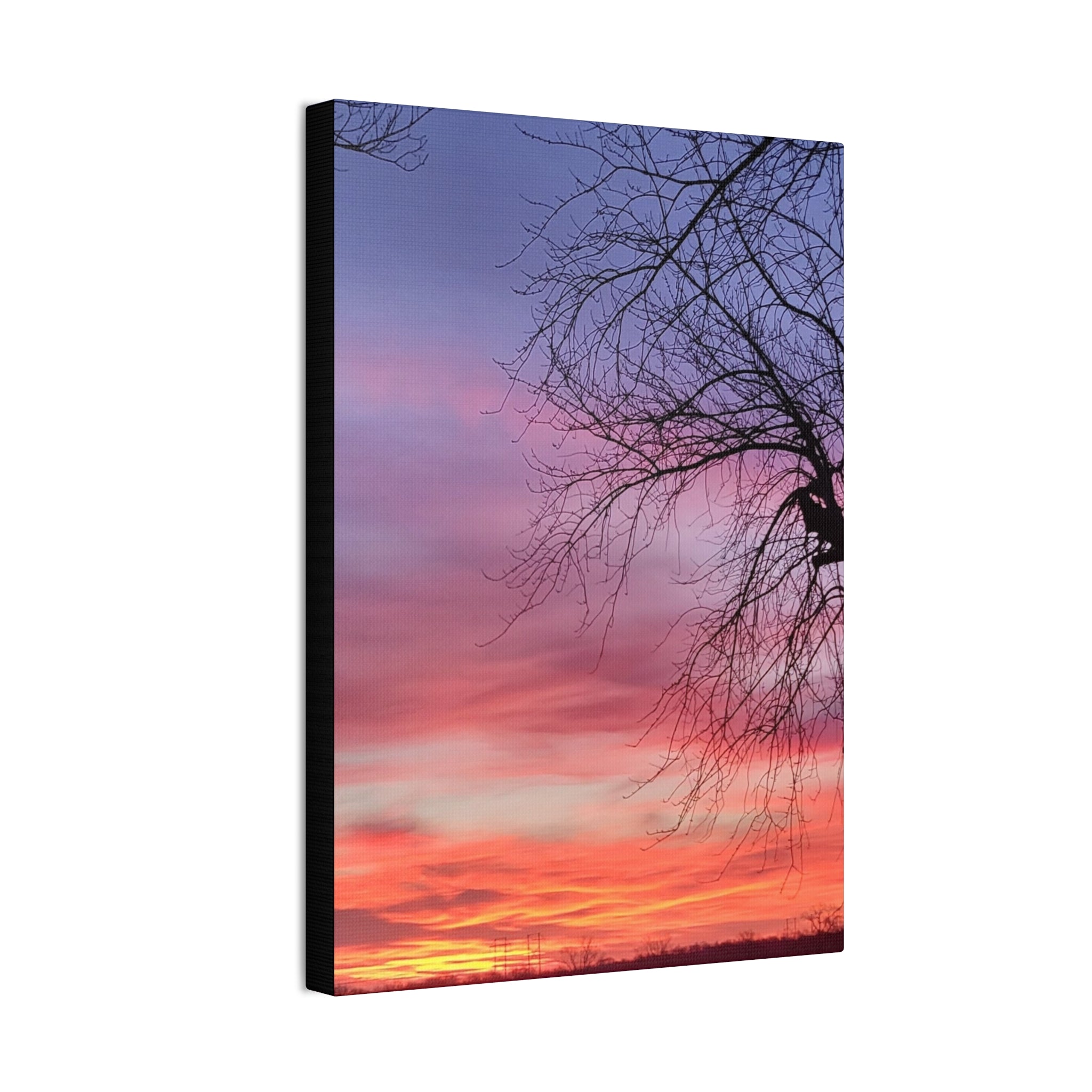 Sunset Sky with Silhouette Tree Canvas