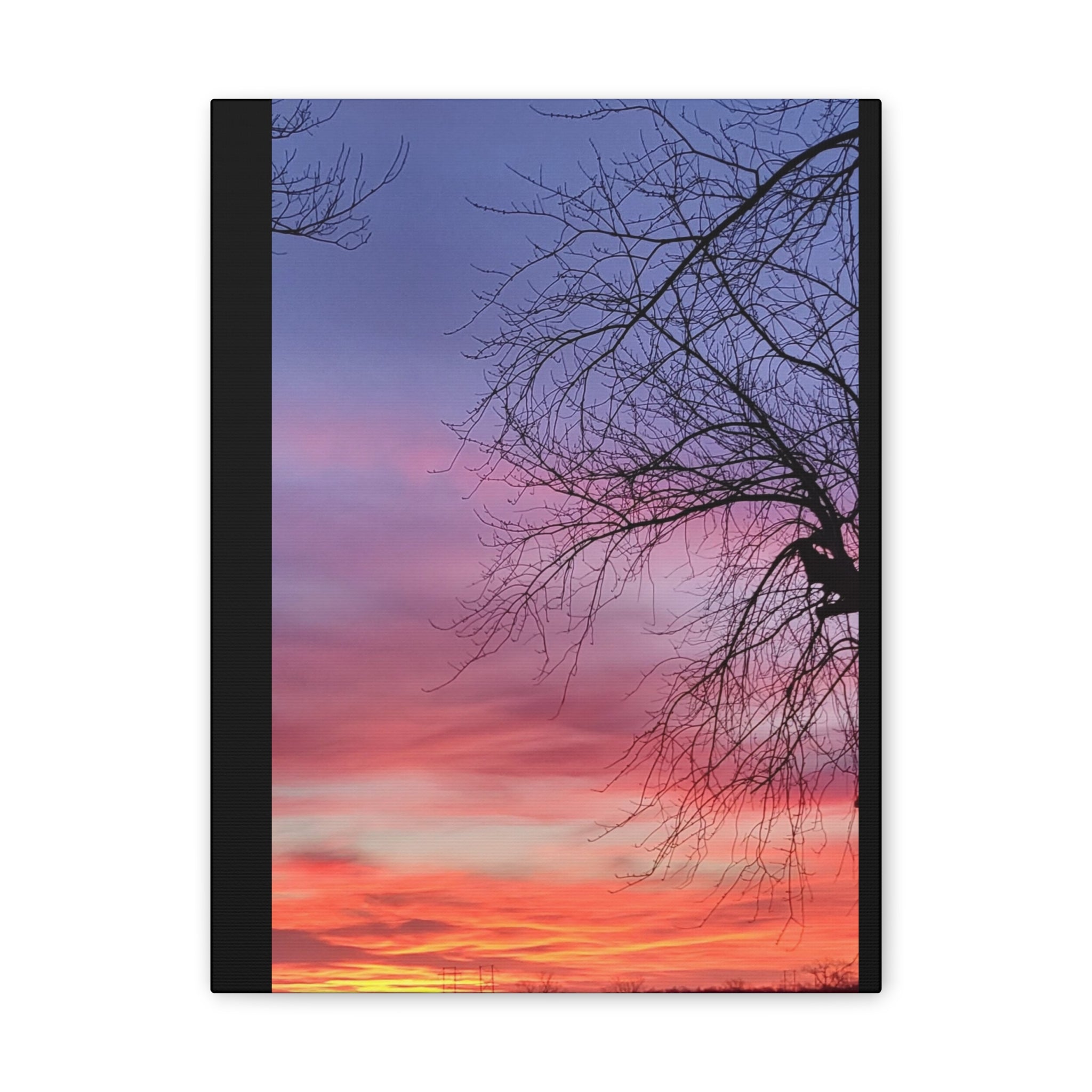 Sunset Sky with Silhouette Tree Canvas
