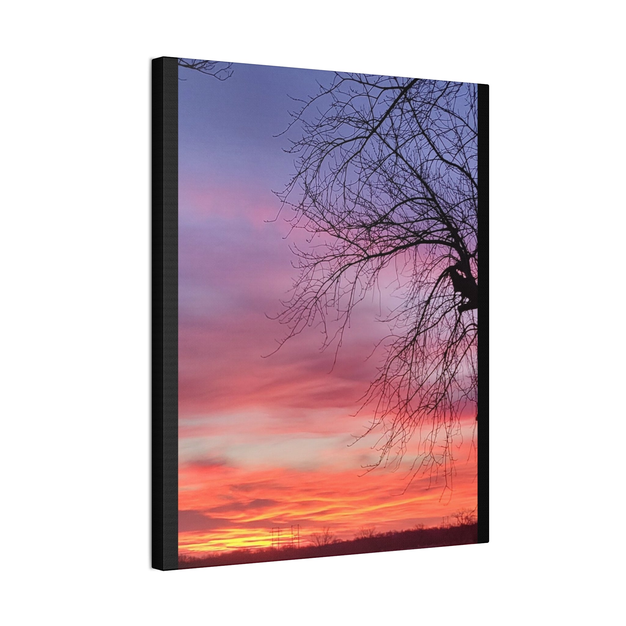 Sunset Sky with Silhouette Tree Canvas