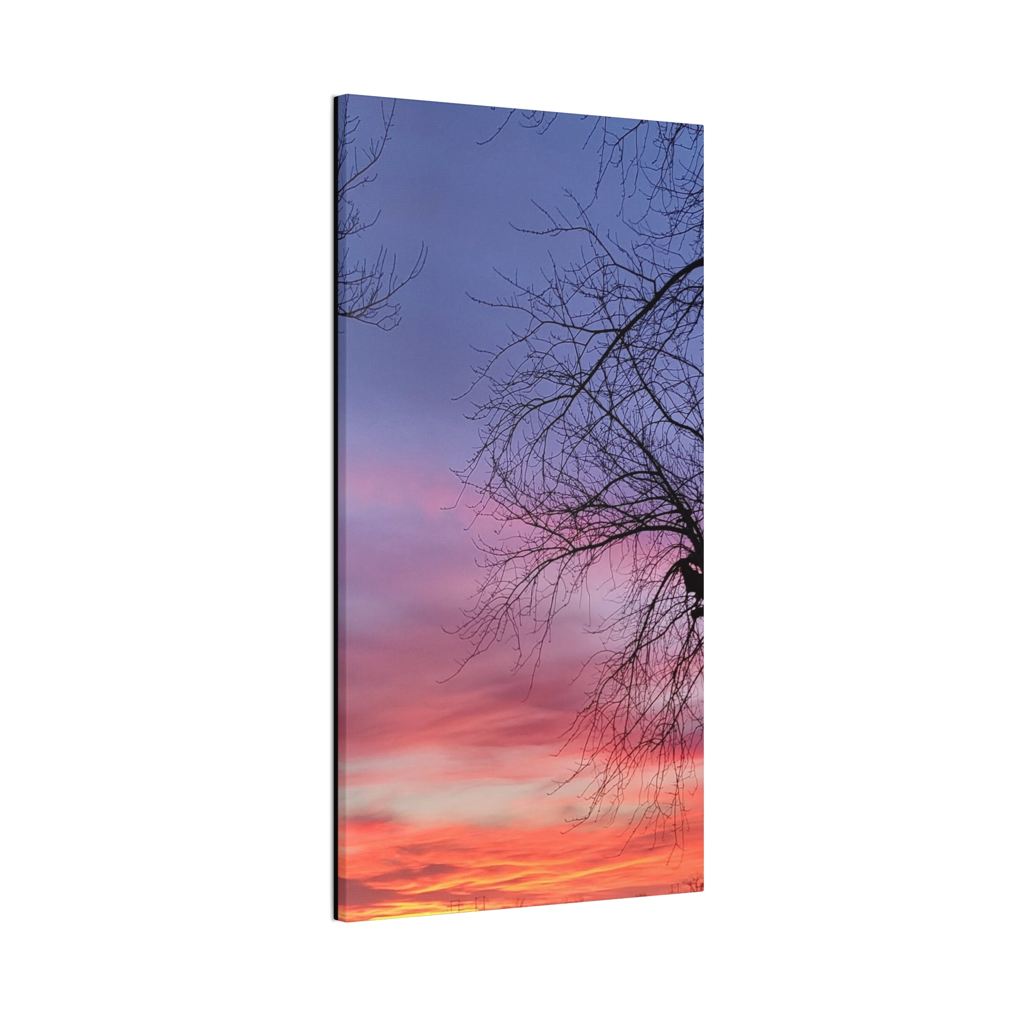 Sunset Sky with Silhouette Tree Canvas