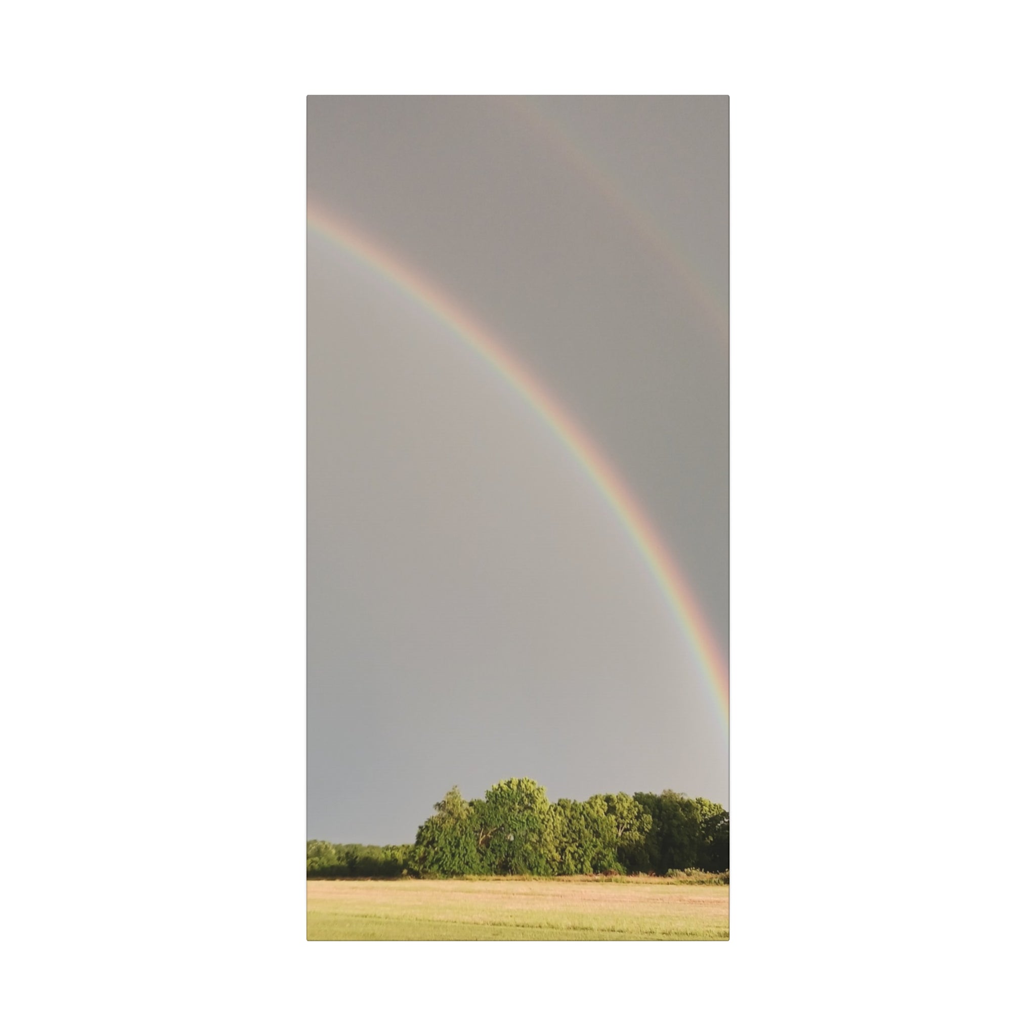 Double Rainbow Canvas