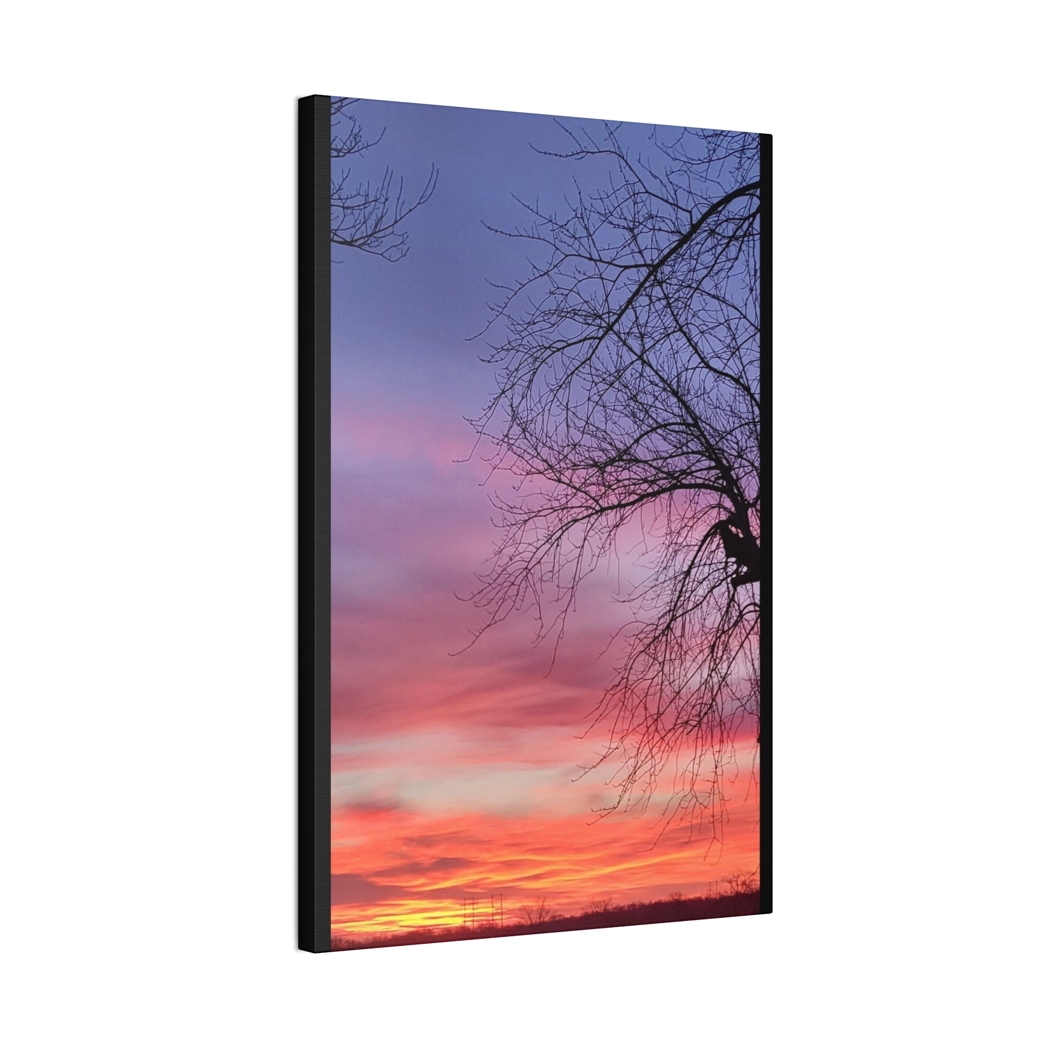 Sunset Sky with Silhouette Tree Canvas