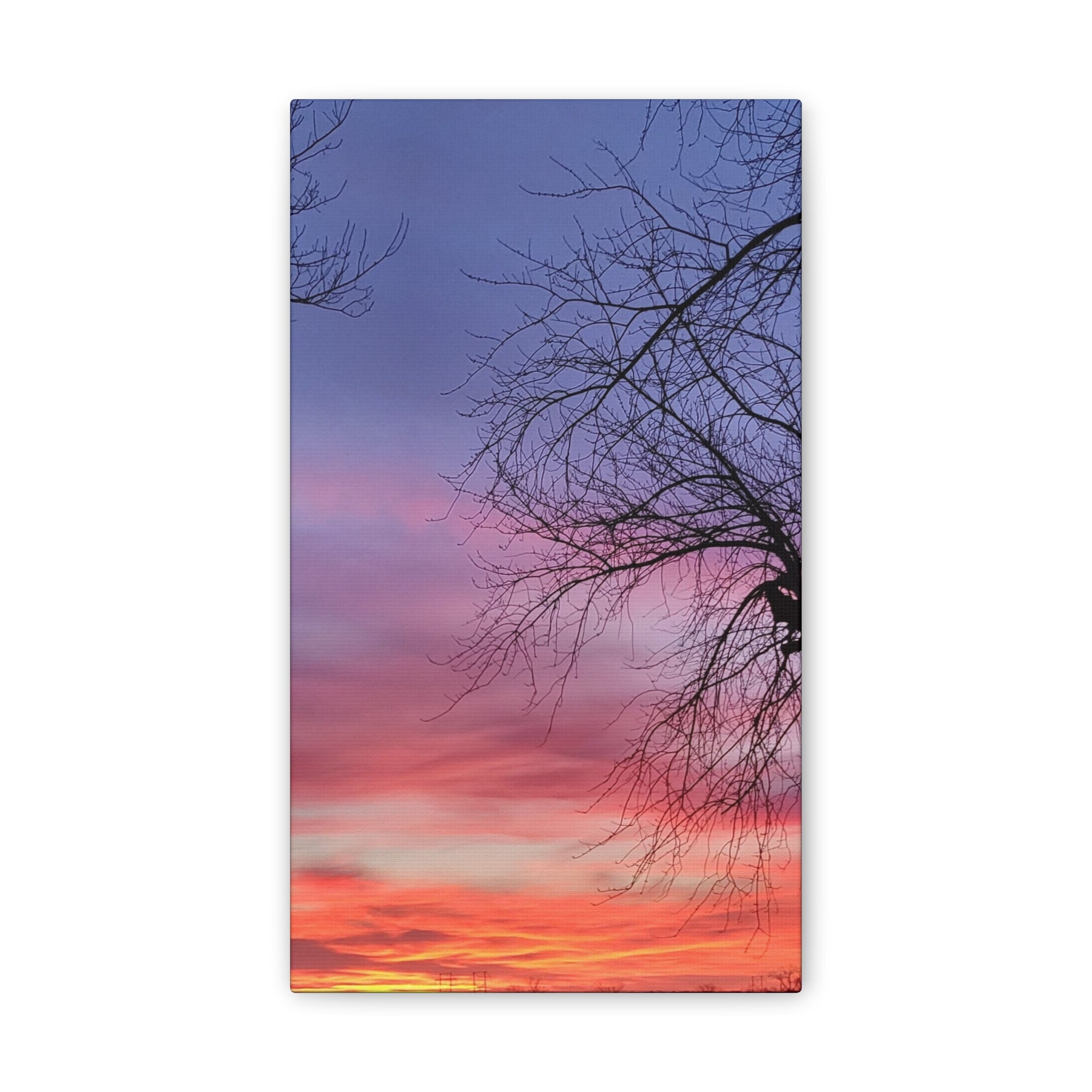 Sunset Sky with Silhouette Tree Canvas