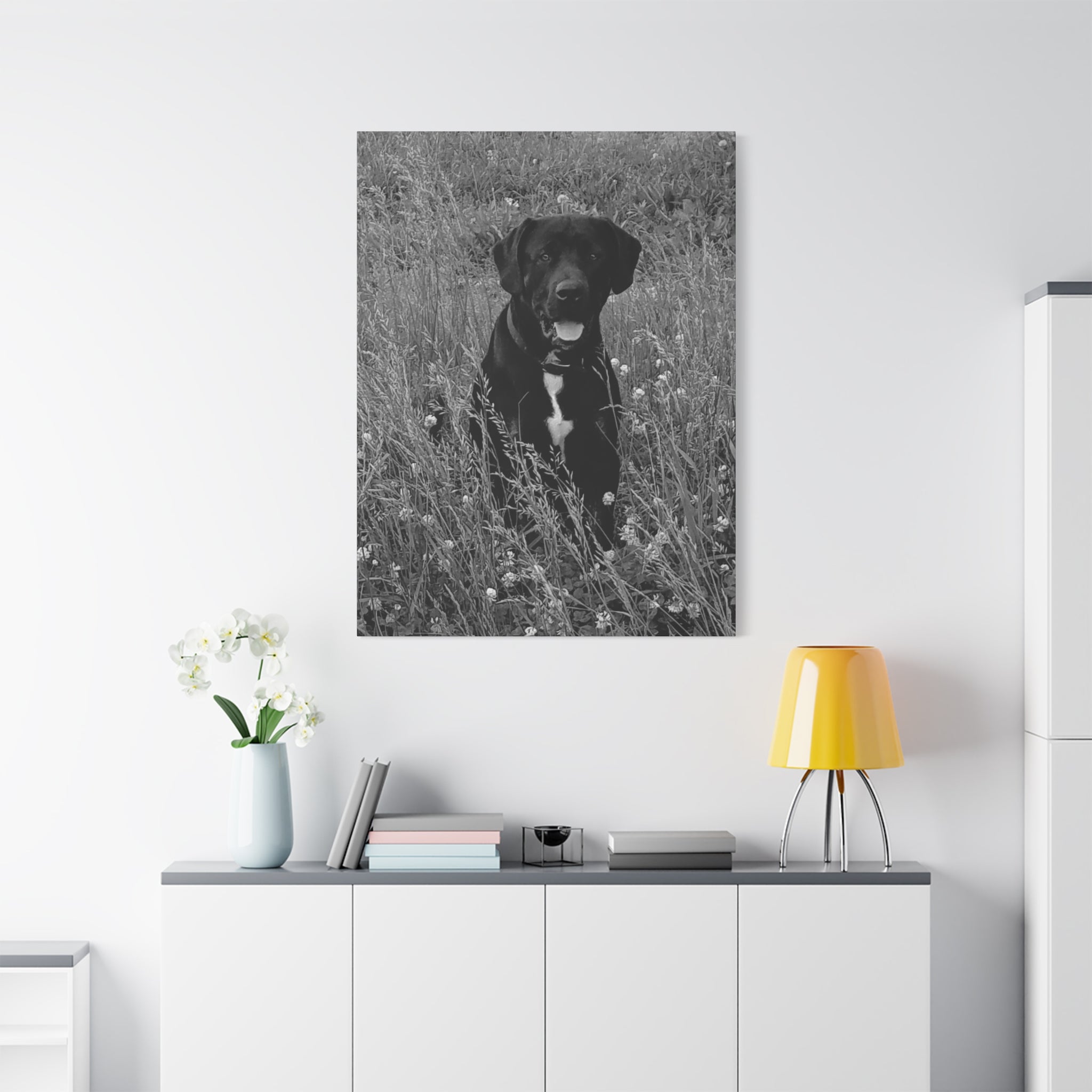 Black Labrador in a field Photo Canvas
