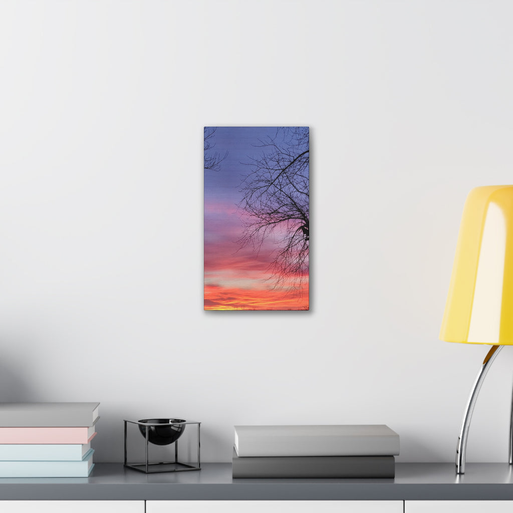 Sunset Sky with Silhouette Tree Canvas