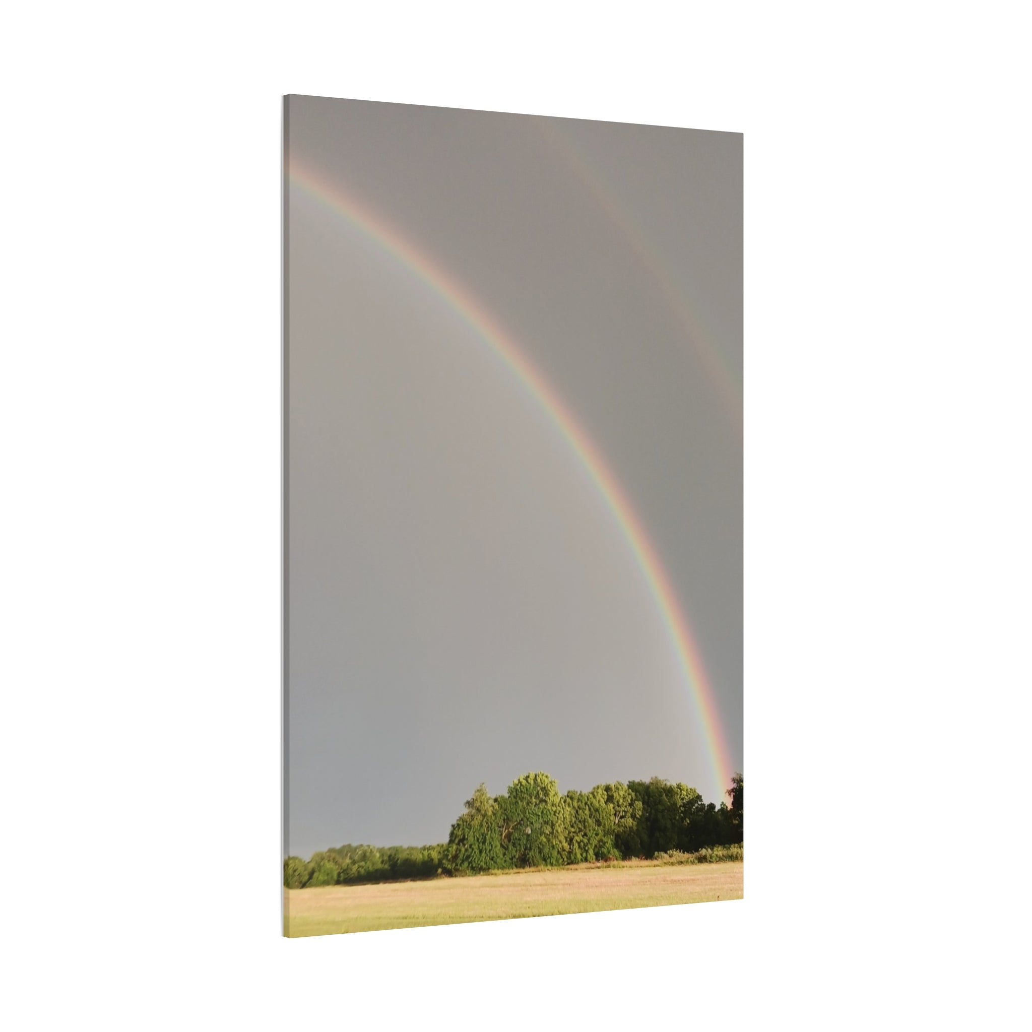 Double Rainbow Canvas