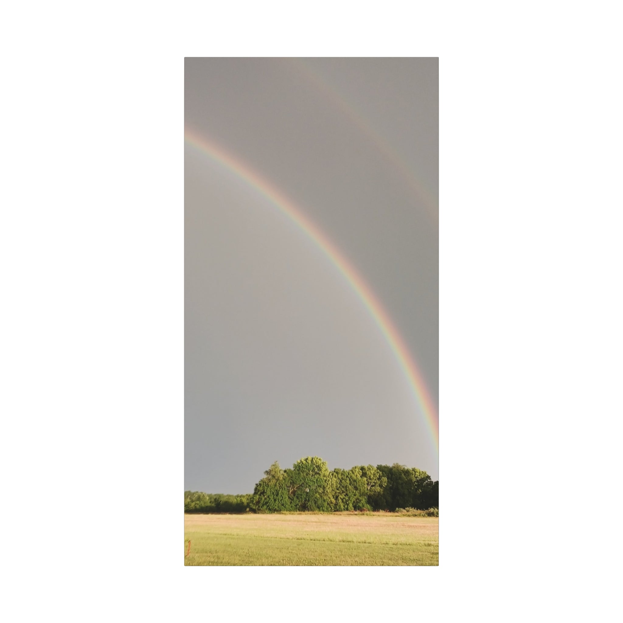 Double Rainbow Canvas