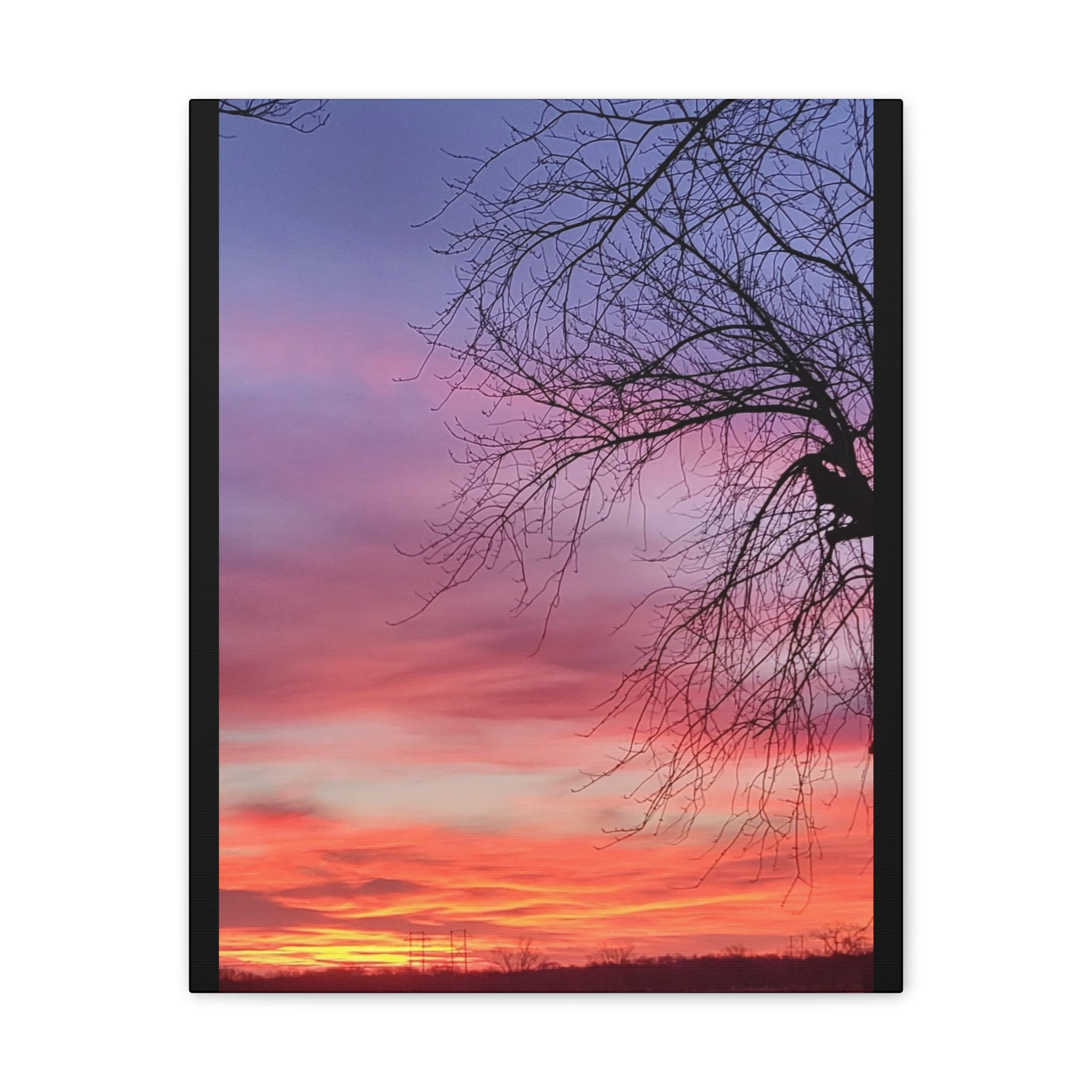 Sunset Sky with Silhouette Tree Canvas