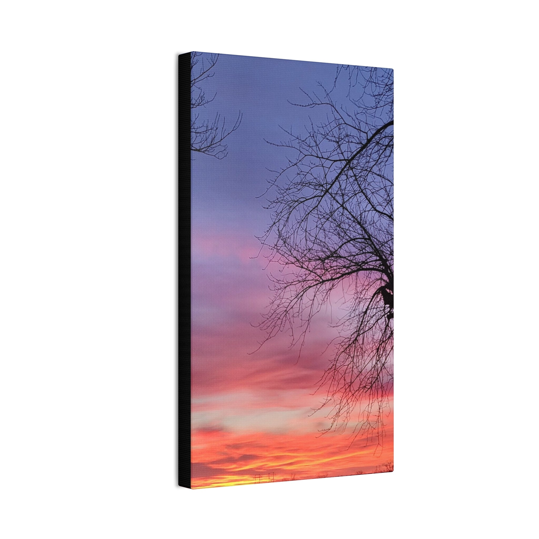 Sunset Sky with Silhouette Tree Canvas