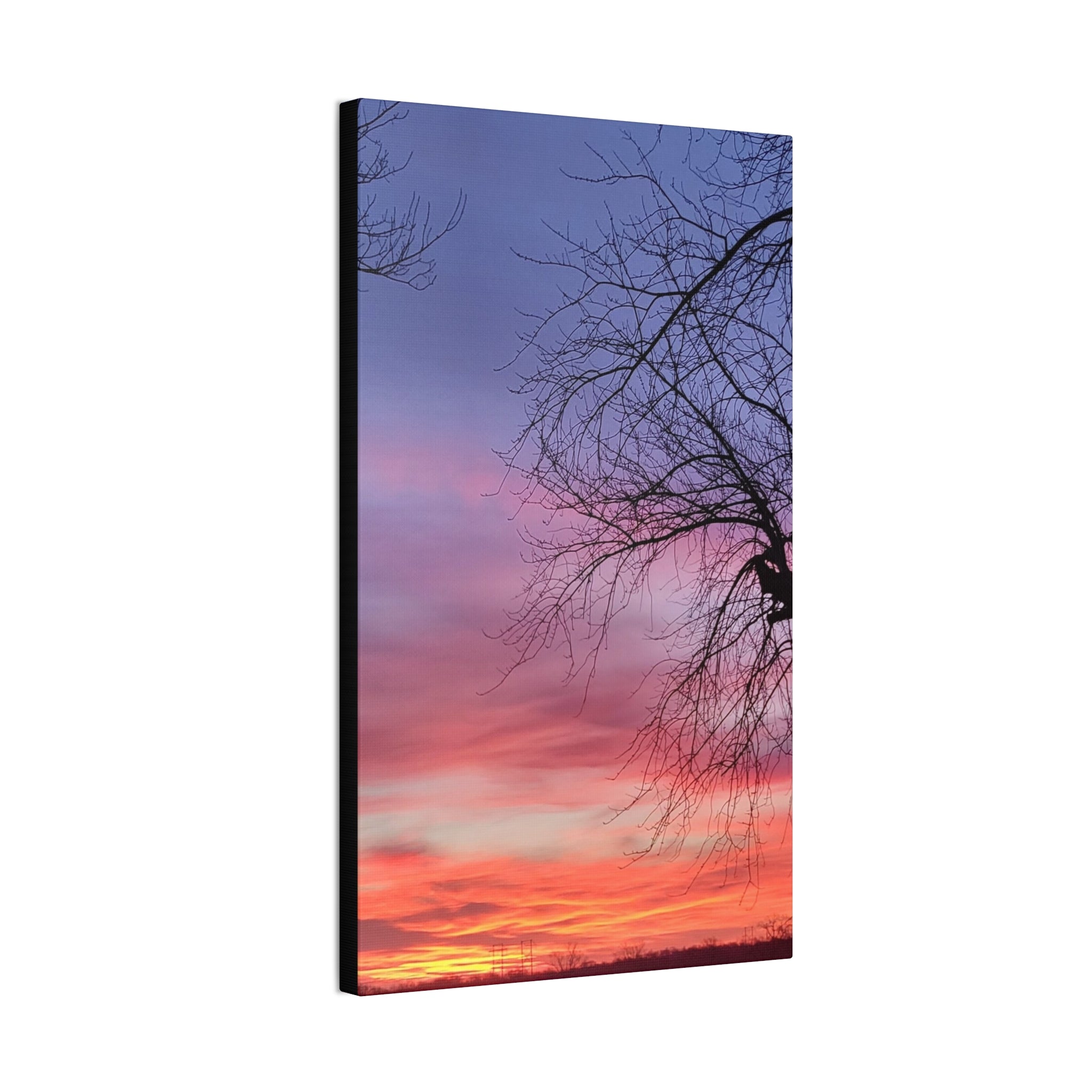 Sunset Sky with Silhouette Tree Canvas