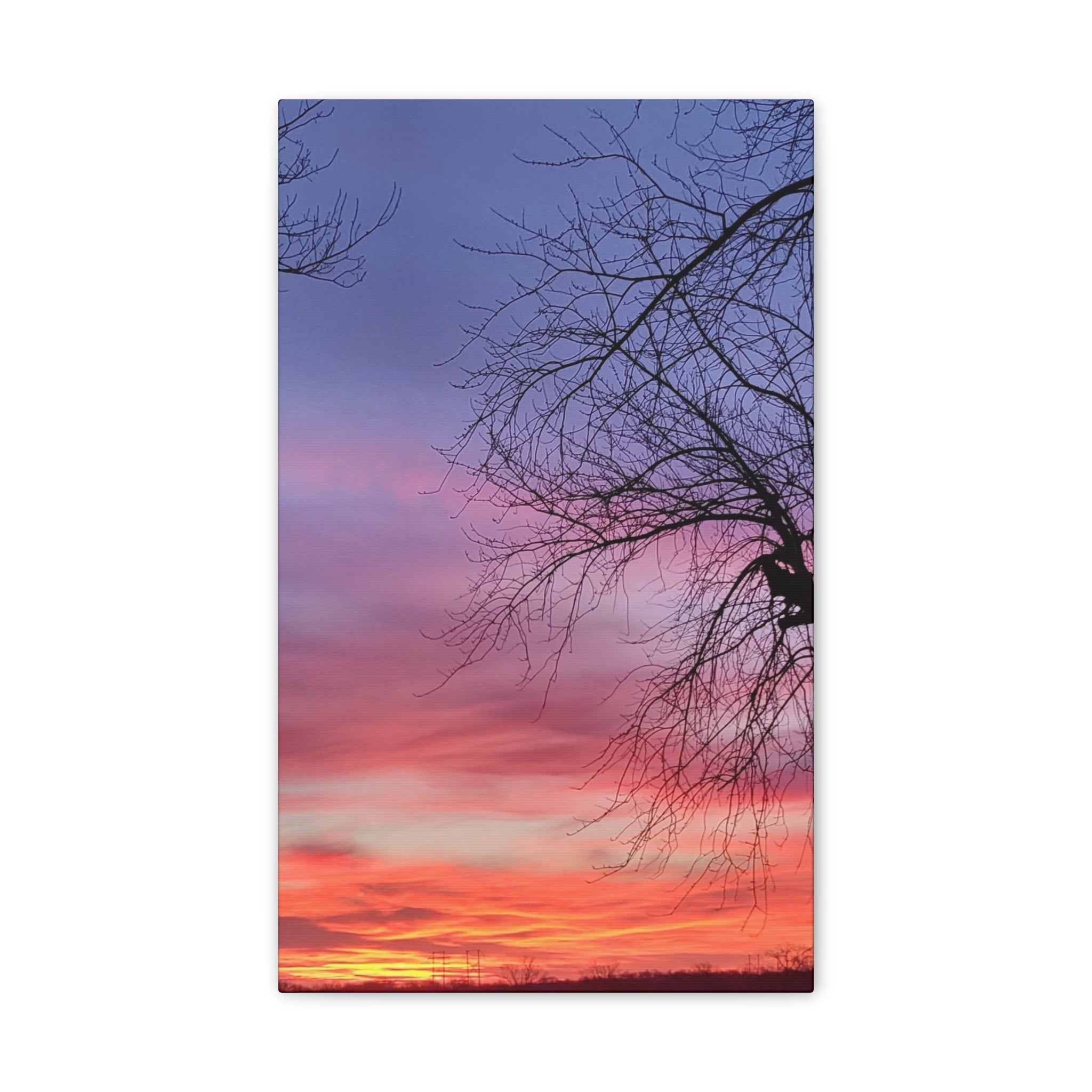 Sunset Sky with Silhouette Tree Canvas