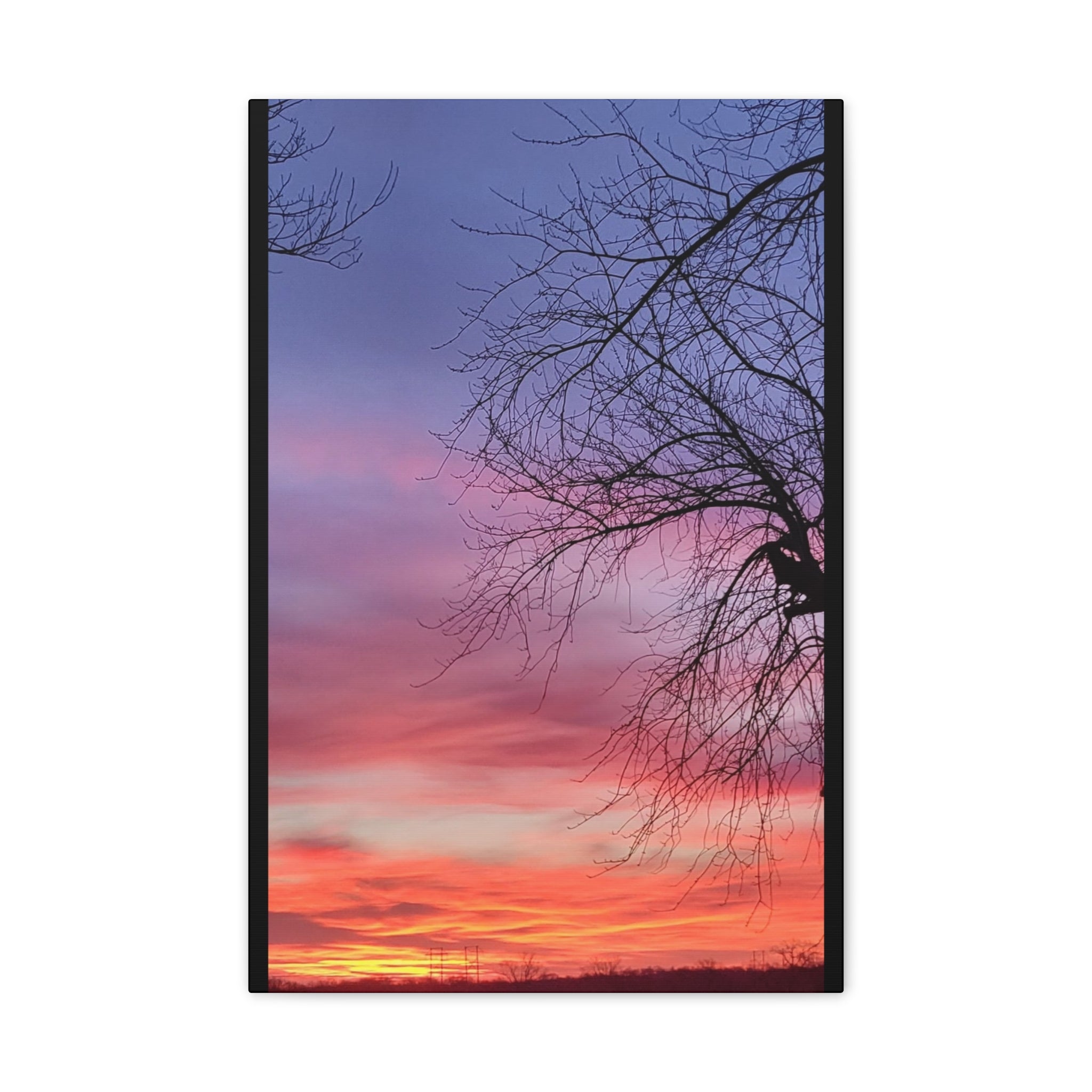 Sunset Sky with Silhouette Tree Canvas