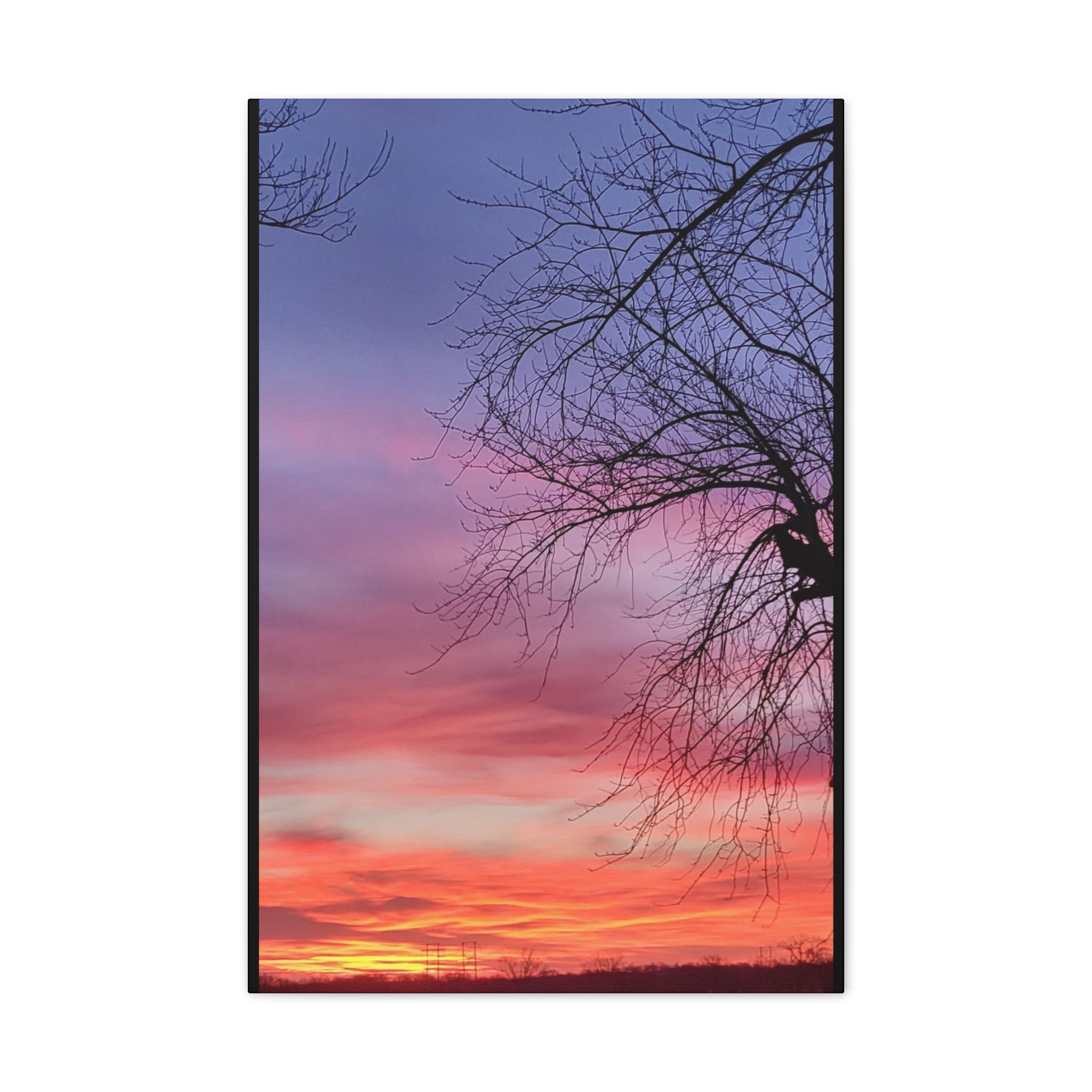 Sunset Sky with Silhouette Tree Canvas