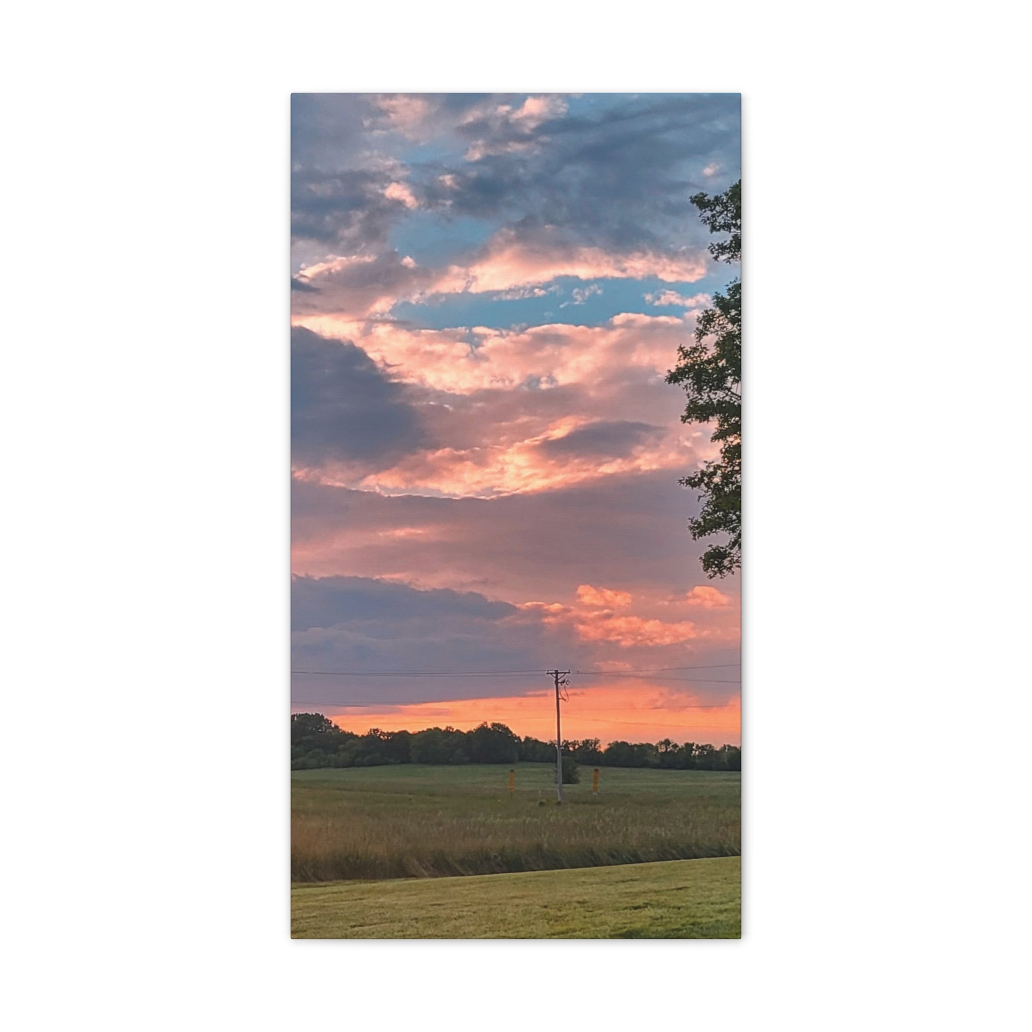 Pink Sunset Sky Canvas