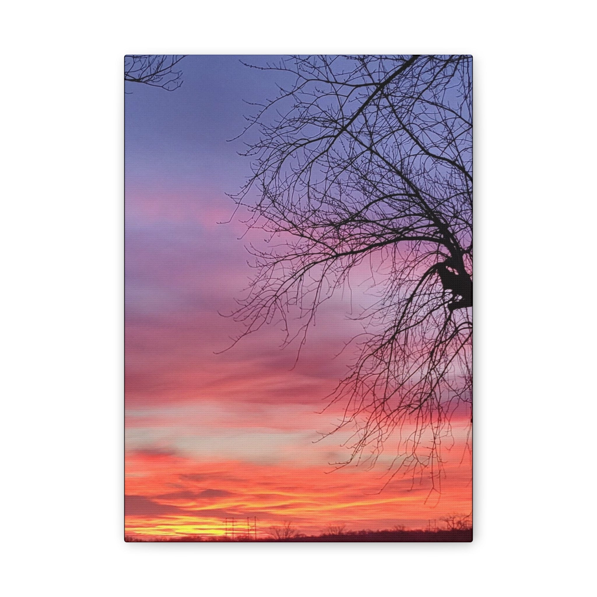 Sunset Sky with Silhouette Tree Canvas