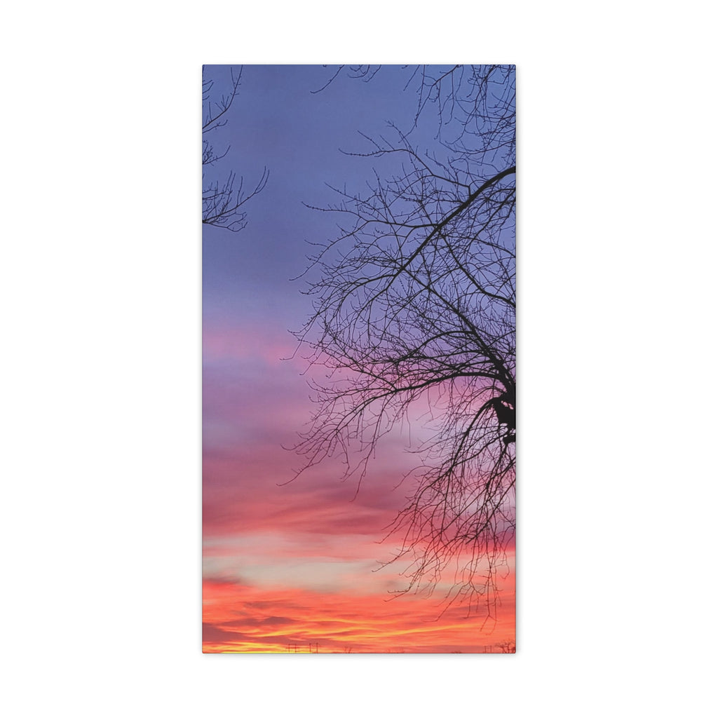 Sunset Sky with Silhouette Tree Canvas